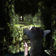 Illustration for article titled emThe Last Guardian/em: The First Screenshots